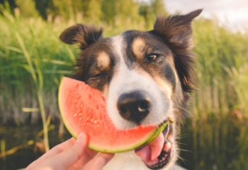 Design sem nome (64)